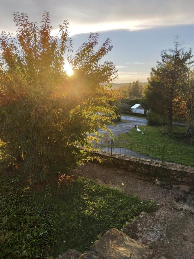 Bed & Breakfast D'hotes La Maison De Monsieur Chaussette